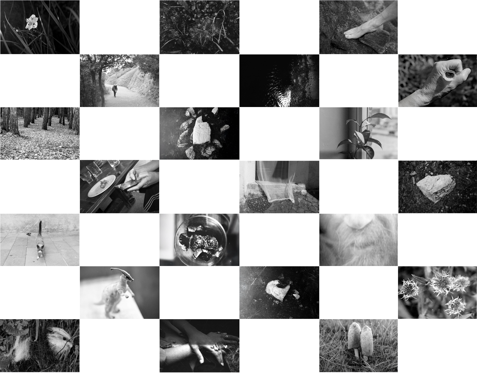 Selection of photographs